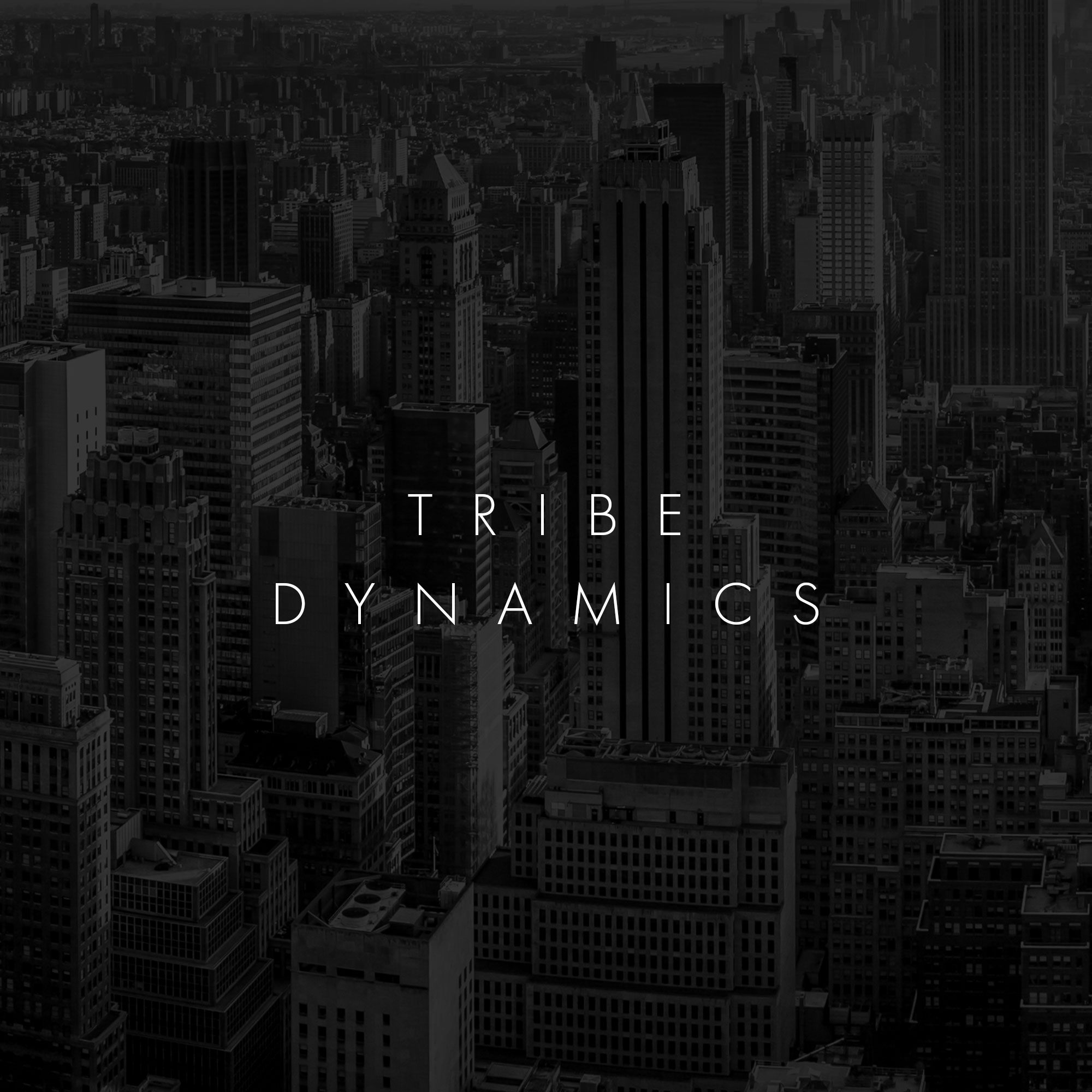 tribe-dynamics.jpg