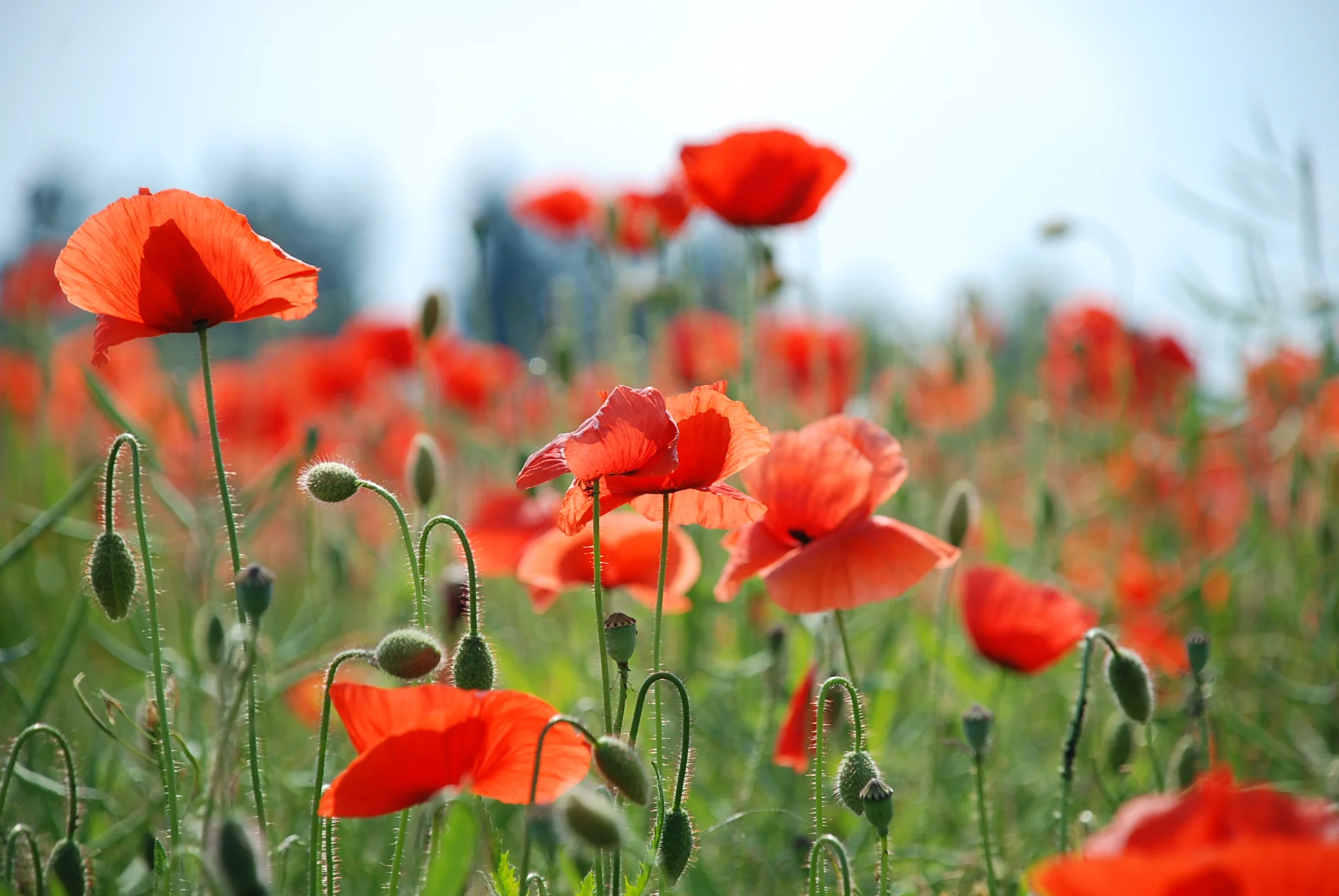 Das Glück kommt zu Dir wenn Du bereit