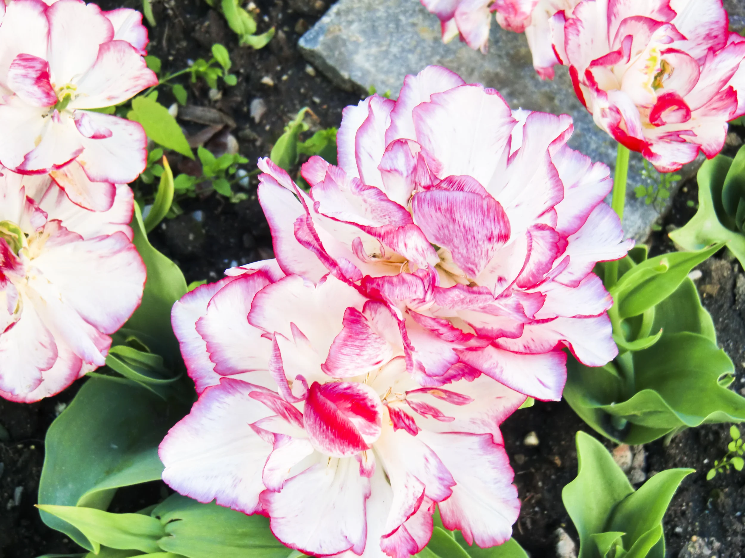 Stille – und irgendwann wird ALLES leicht