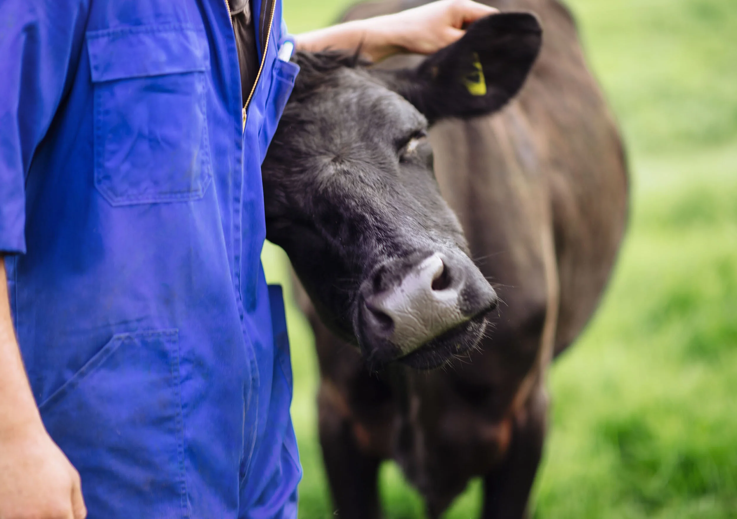  –  AWARDS  Australasian Reporting Awards  /  Gold Award – Best of Industry   –  CREDITS  Design Director &amp; Designer  Christopher Gough Palmer  Strategy  Mike Tisdall / Steven Giannoulis  Account Director  Monique Wallace  Production  Mason Smith