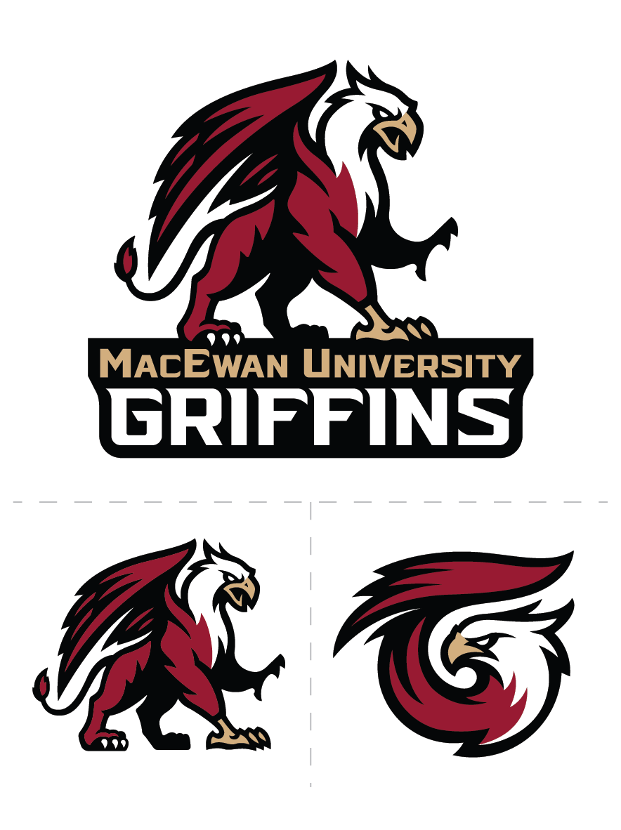 BANNER_MACEWAN1.png