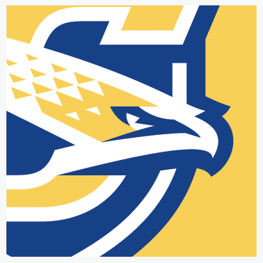 SKYHAWKS2.png