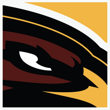 NIGHTHAWKS2.png