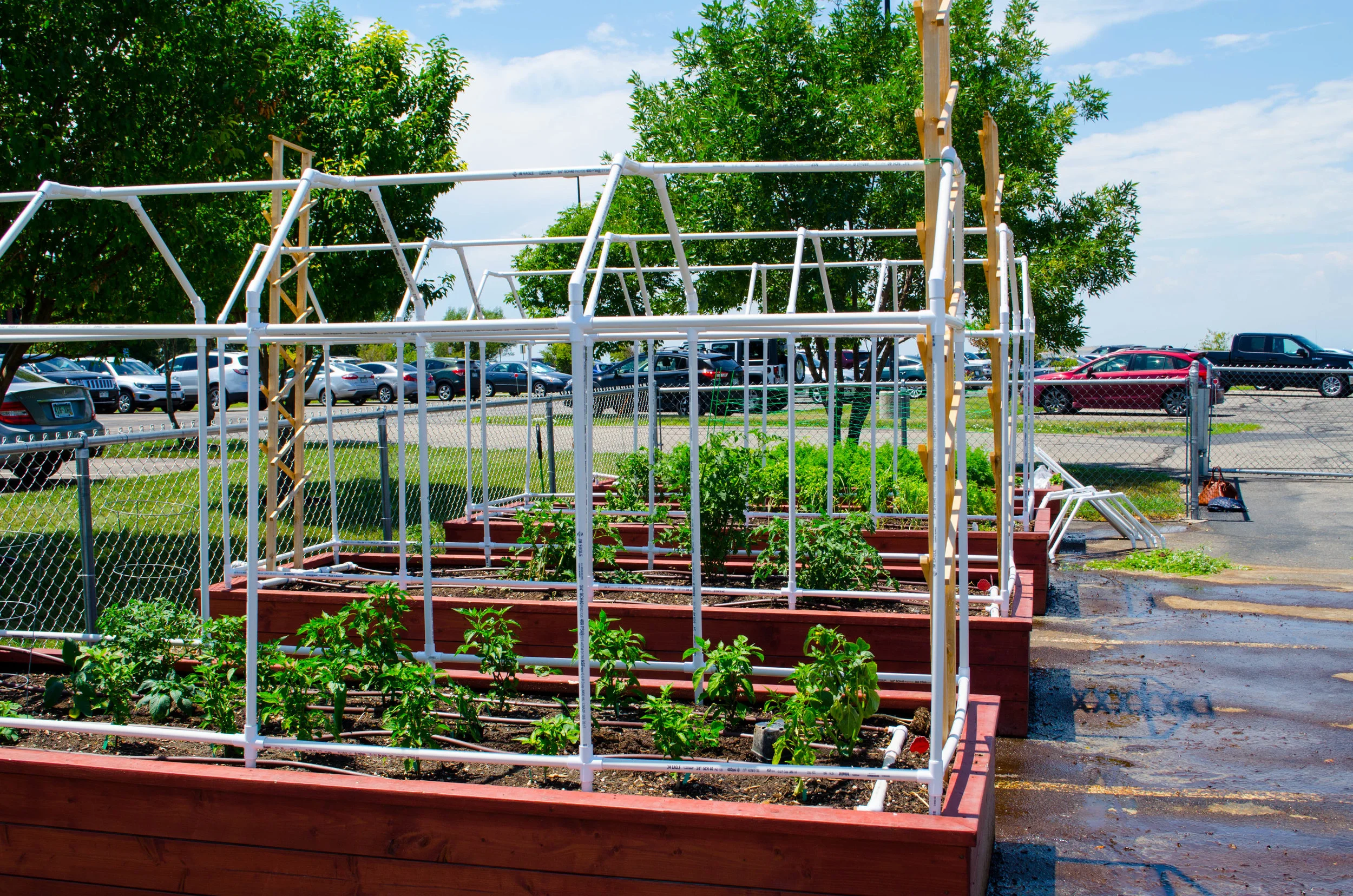 Garden Design & Build