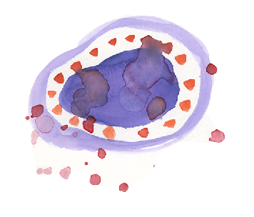 The avocado-esque shapes original colors.