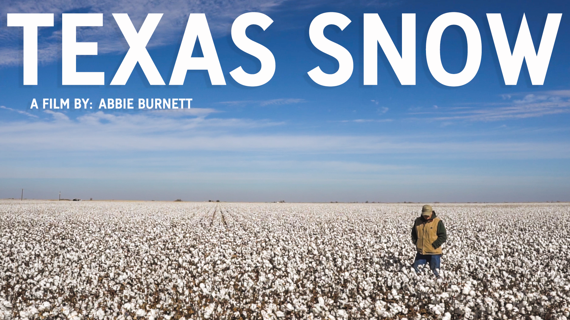 texas snow.png