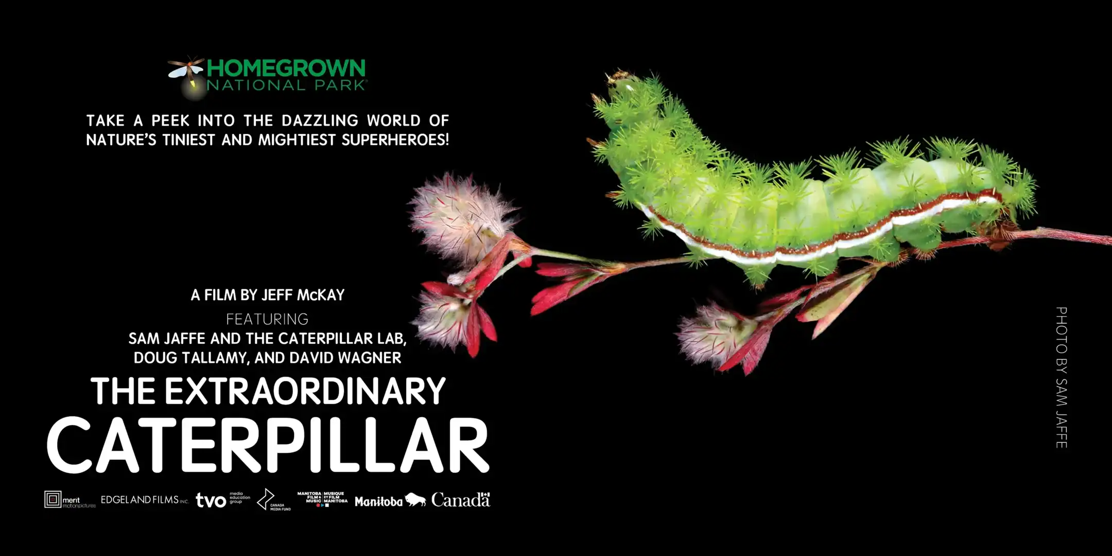 Earth Day Screening and Q&A: The Extraordinary Caterpillar