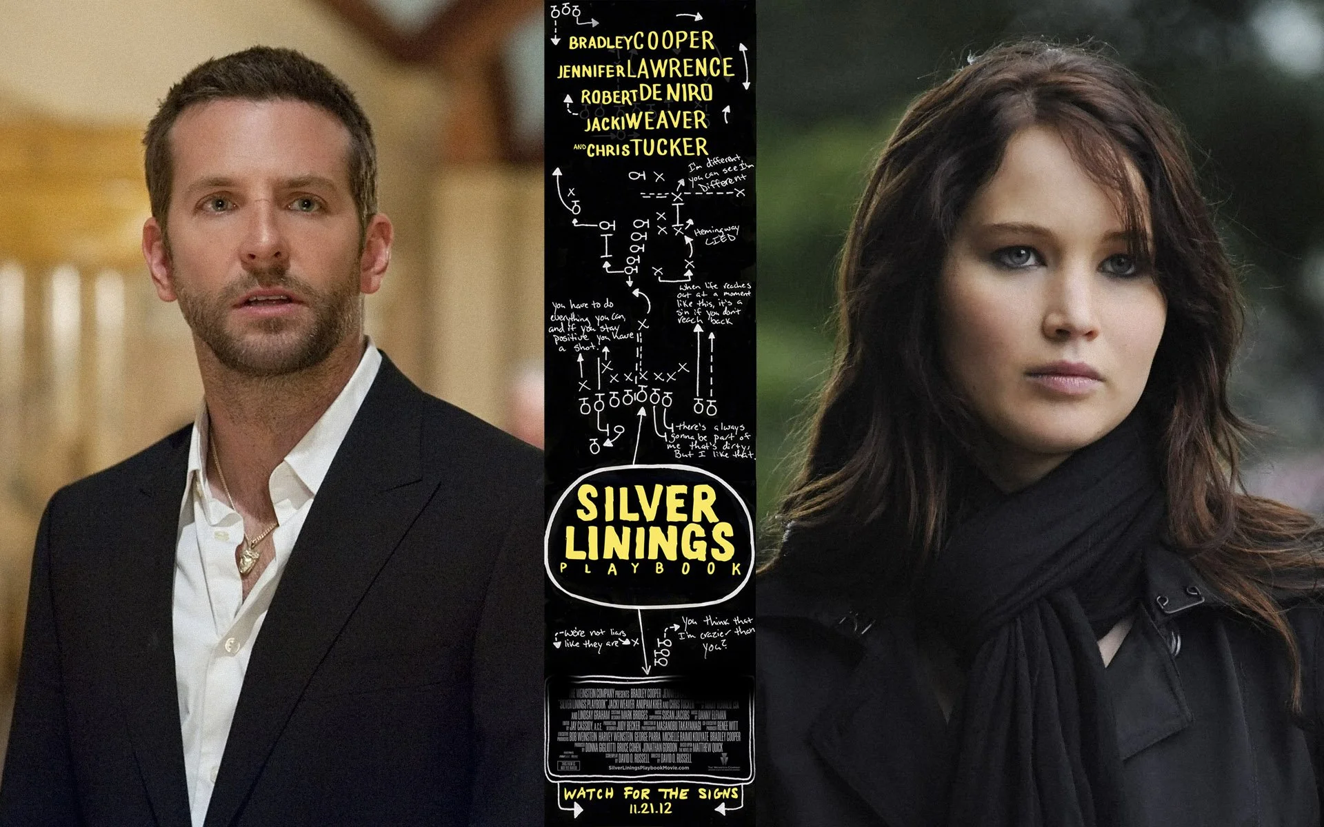 Silver Linings Playbook (Page to Screen Series)