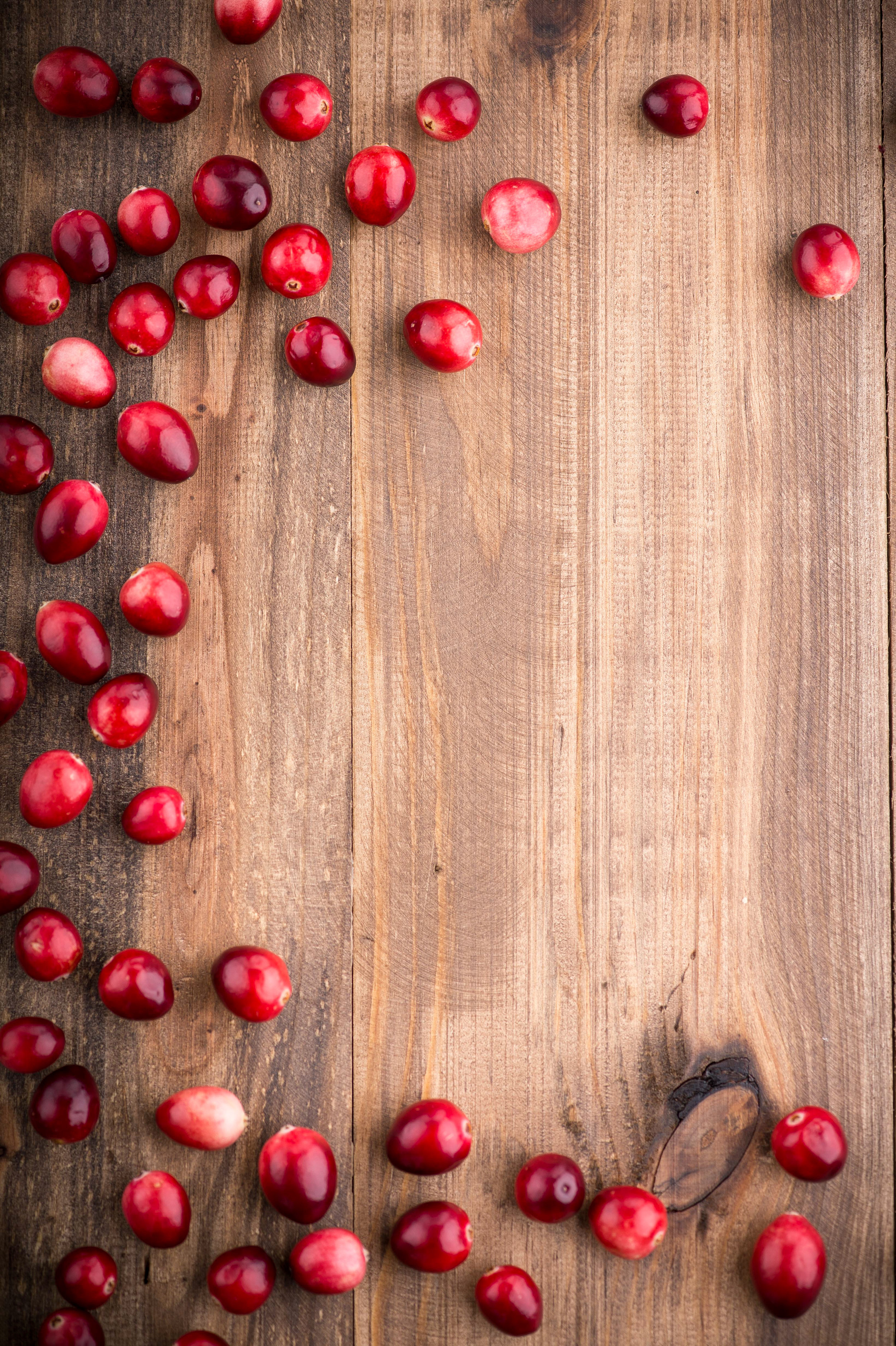 Corporate Imagery 89Brown wood with berries and blank space001*2-2.jpg