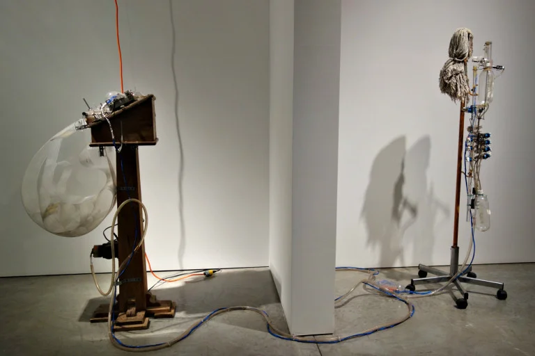 Tim Hawkinson
