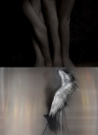 Anna Gaskell and Douglas Gordon, Vampyr, Yvon Lambert, Paris.jpg