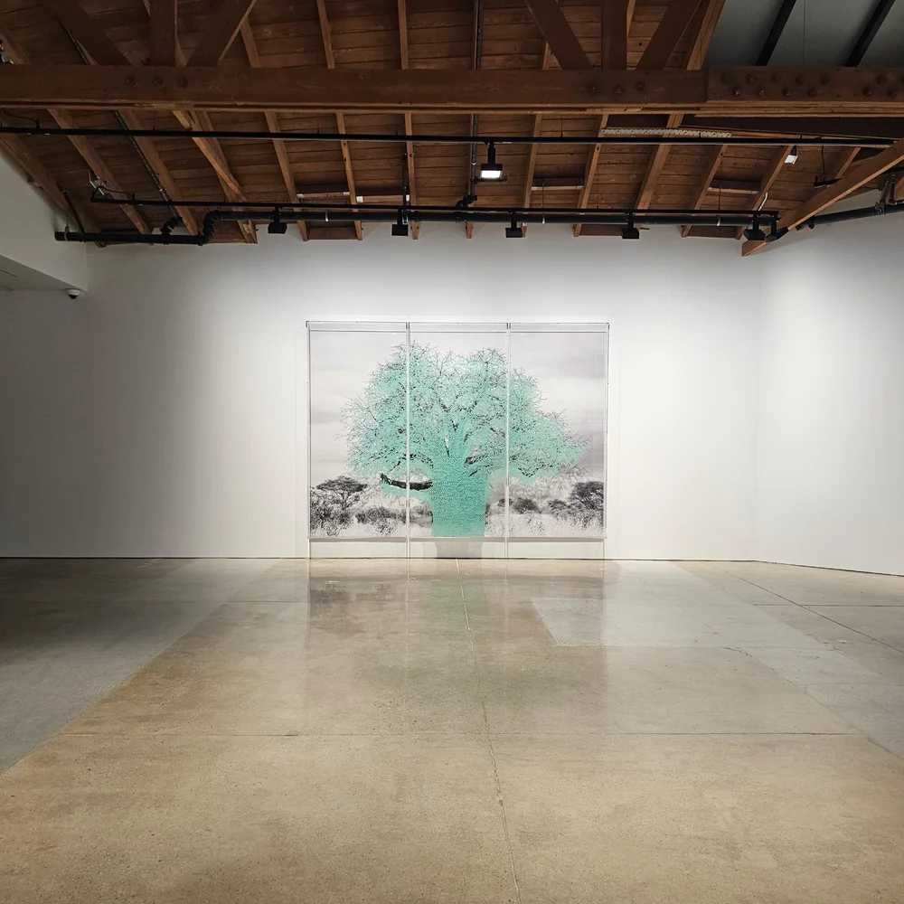 Credits &amp; Courtesy: Charles Gaines, Numbers and Trees: Tanzania Series 1, Baobab, Tree #1, Ngoni, Hauser &amp; Wirth Los Angeles
