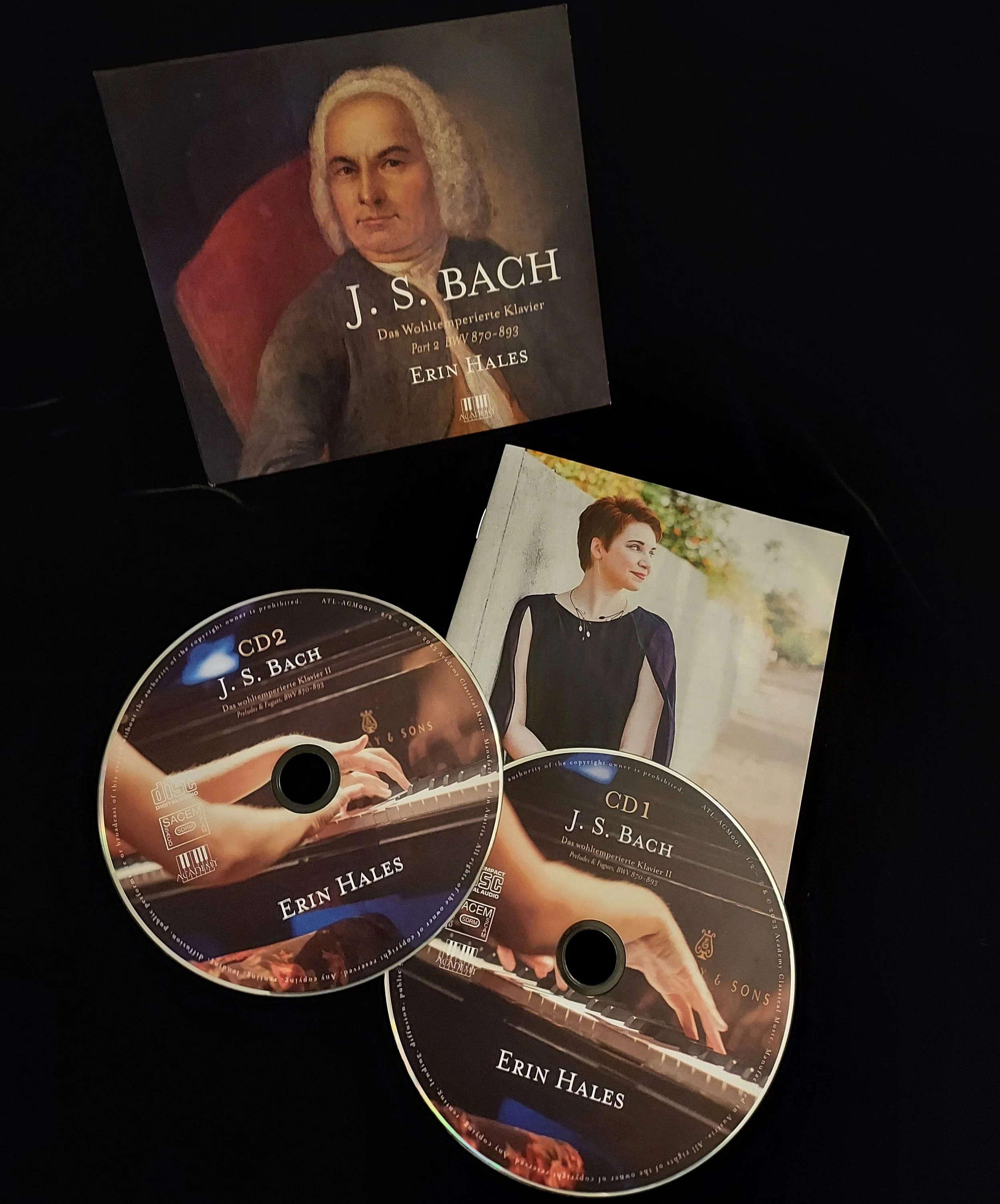 book 2 promotional.jpeg