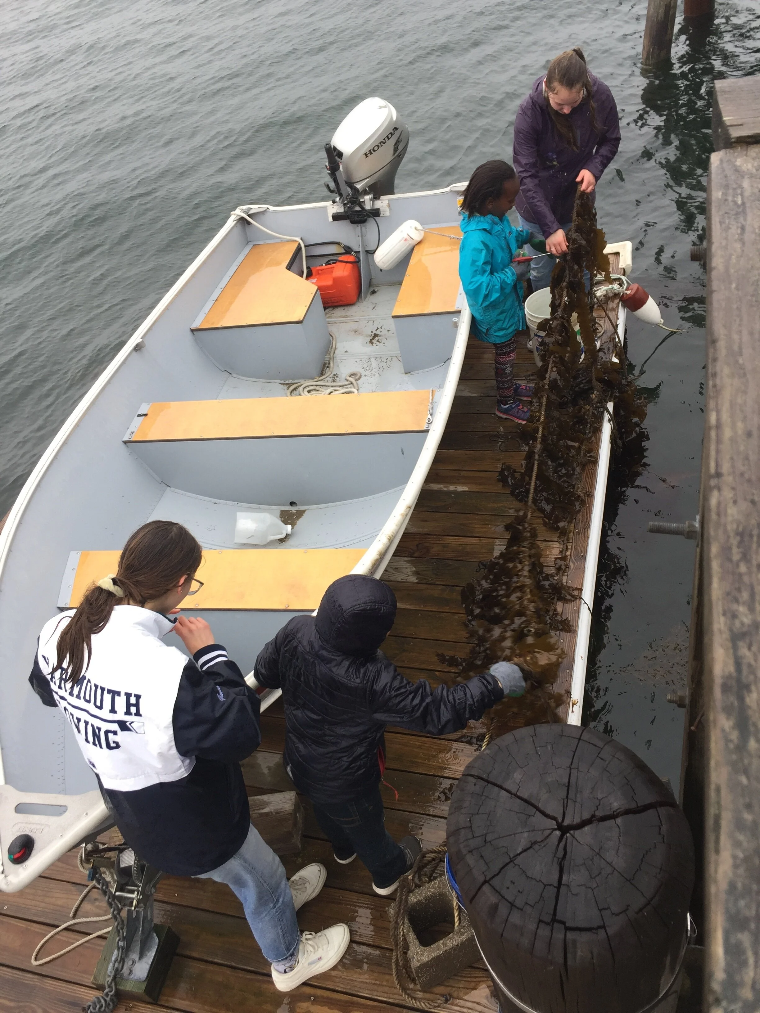 Darcy Ross, Aurora Guecia - Kelp4Kids