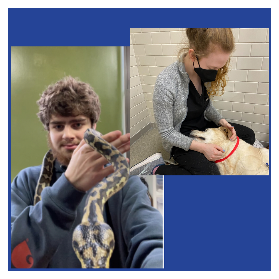 Kai Anderson, Isla Wilson - Exotic, Wild, and Domestic Animal Husbandry;  Rescue and Veterinary Clinic Work — Baxter Academy for Technology and  Science