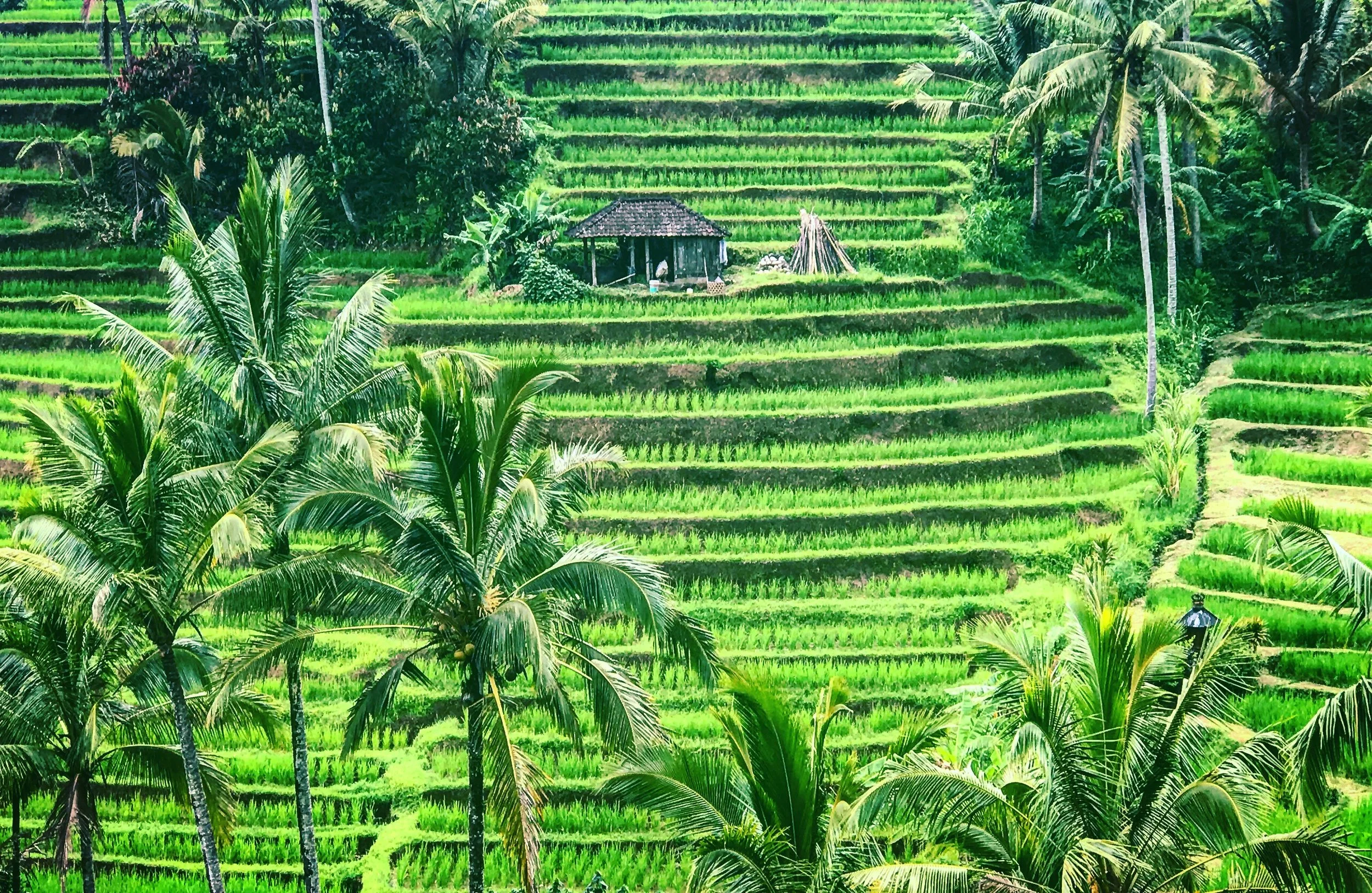 Bali