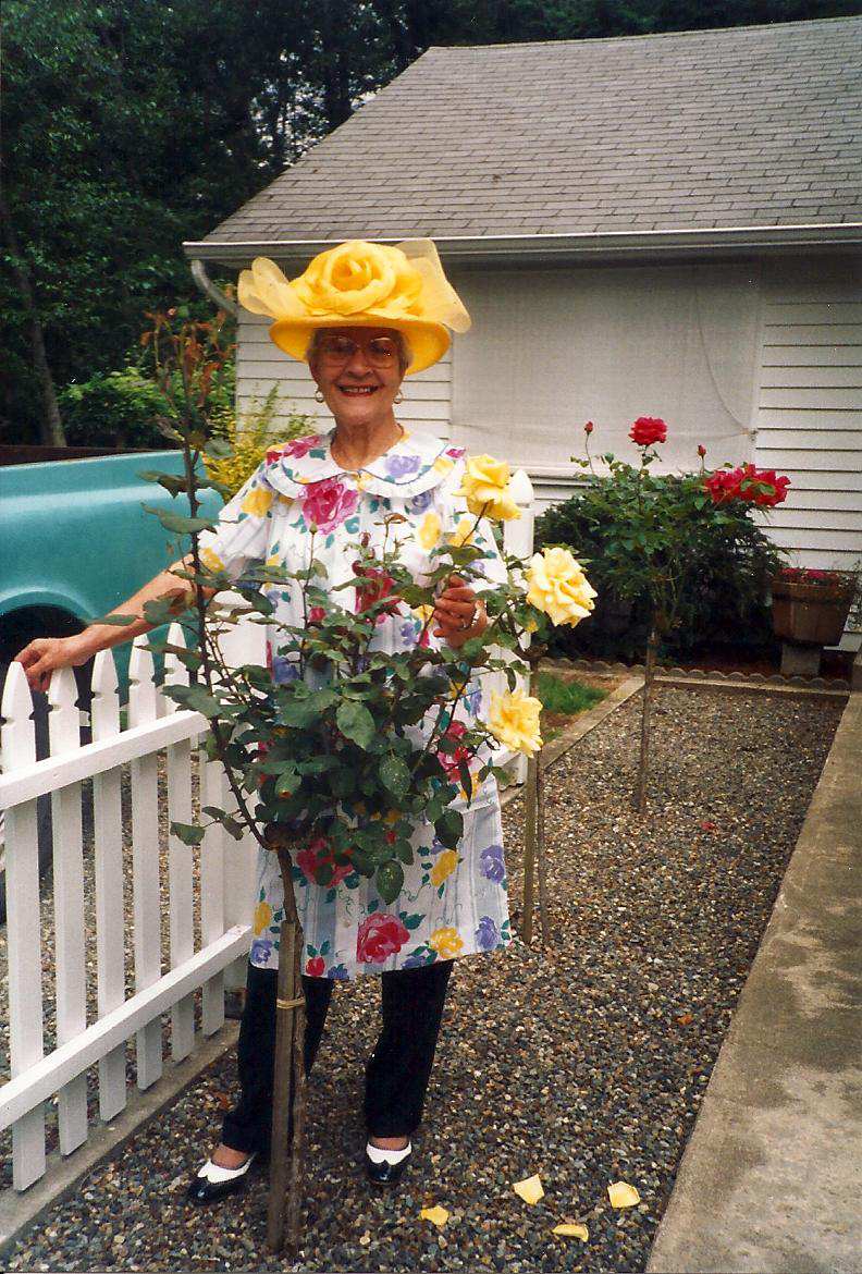 15a.jpg