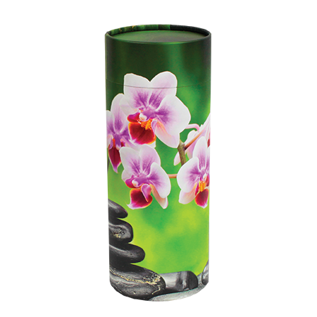 ASM-Scattering-Tube-Orchid.png