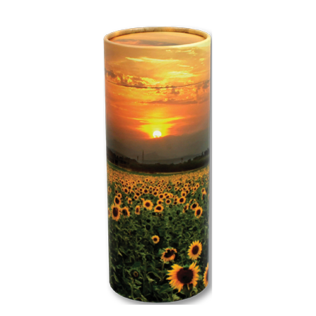 ASM-Scattering-Tube-Sunflower-Field.png