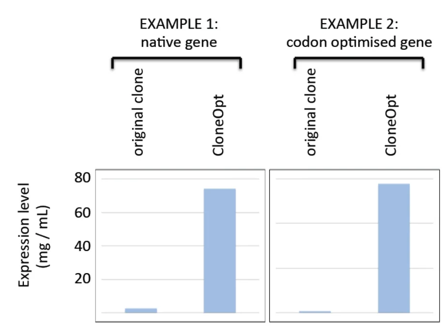 Figure 3. A membrane transport protein, expressed in BL21(DE3) from a pET28a vector.