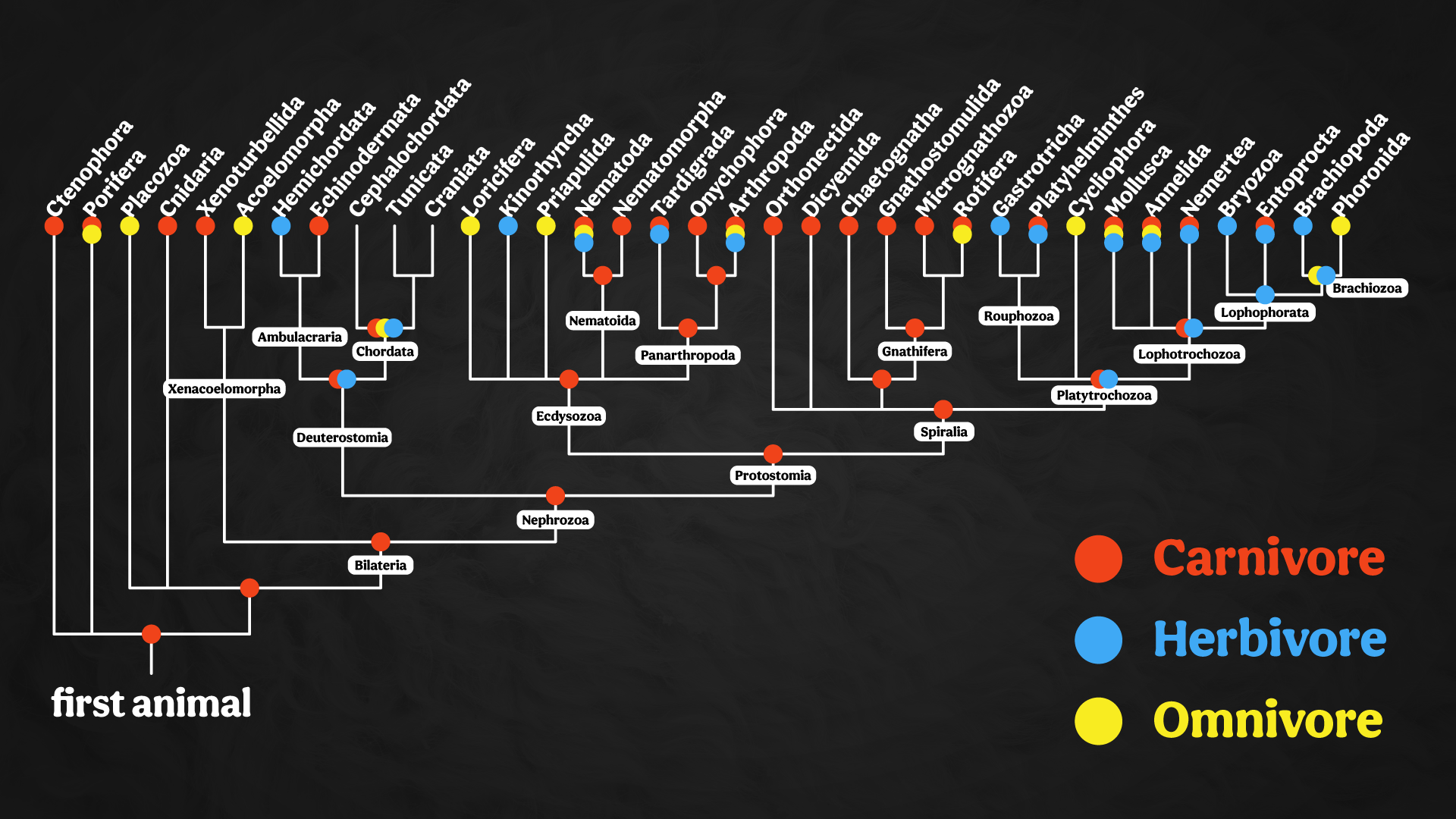 CCZOO04_7_Carnivore_Herbivore_v2_FSD.png