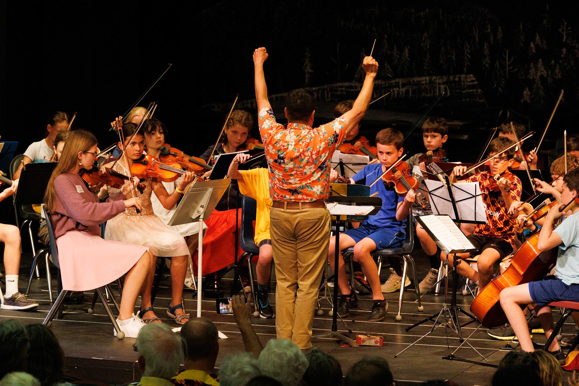 Orchestra 2 hurrah!.jpg