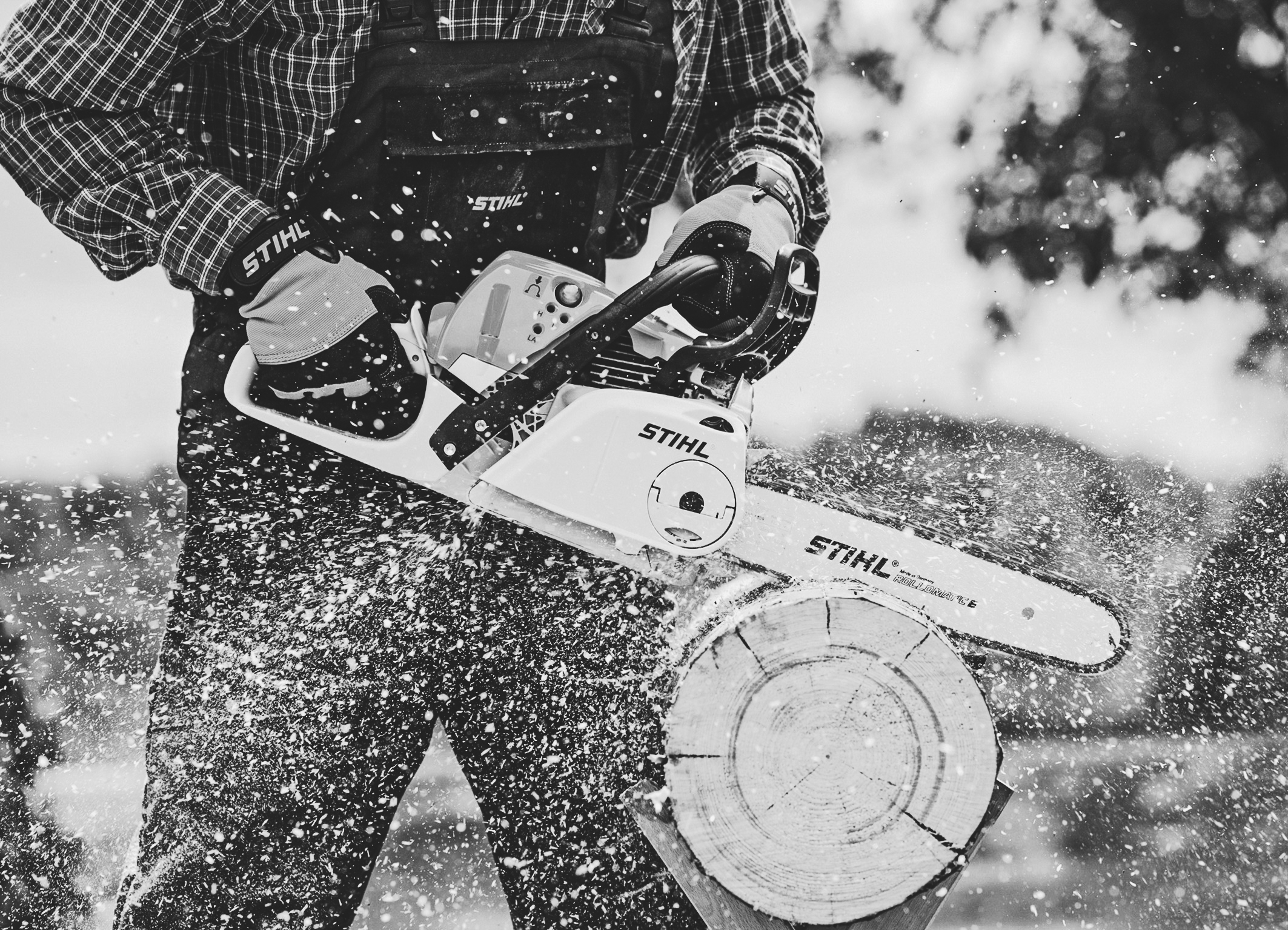stihl_1.jpg