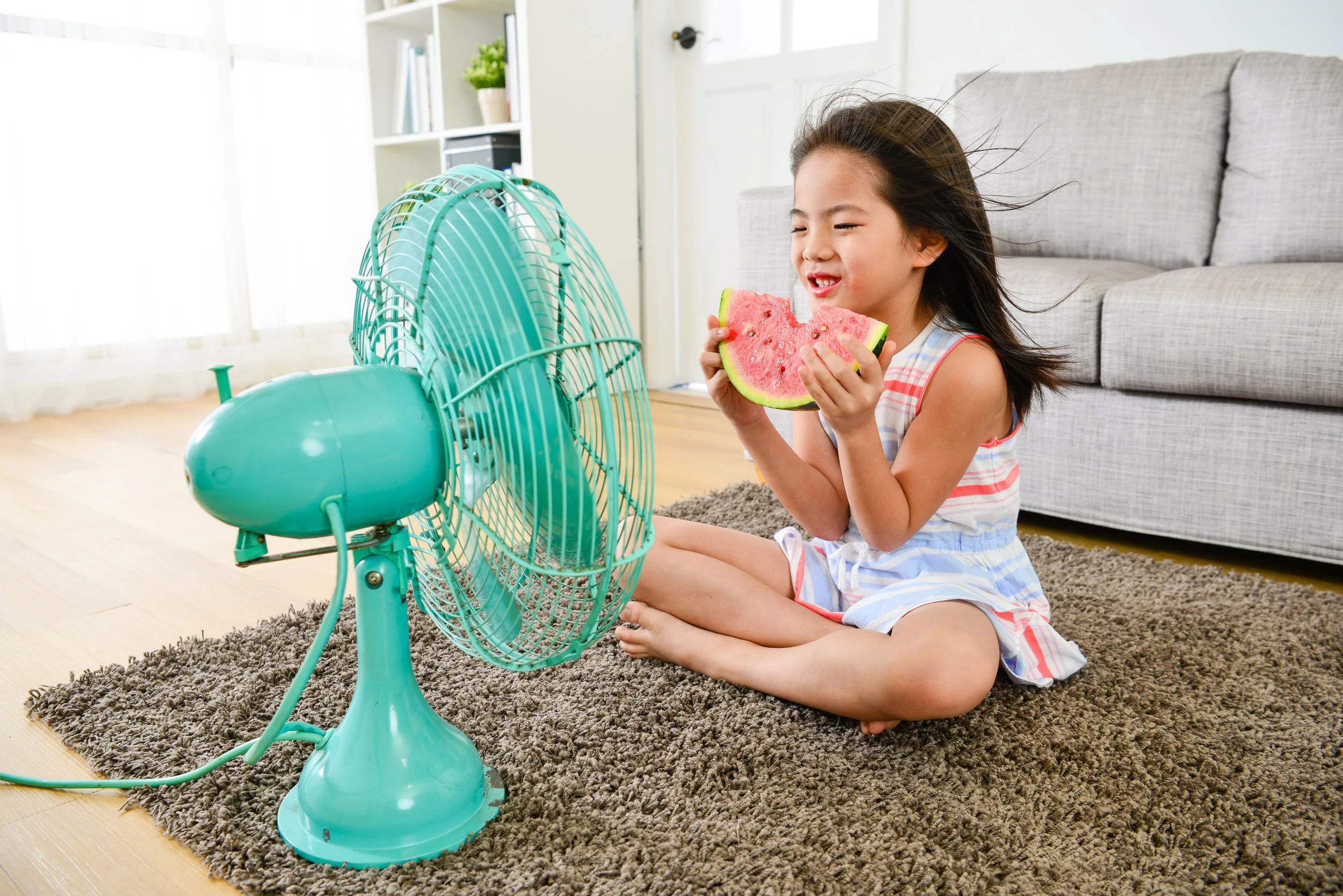 AdobeStock_188653158.jpg