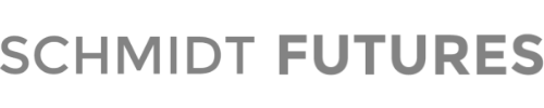 Schmit Futures Logo - Gray.png