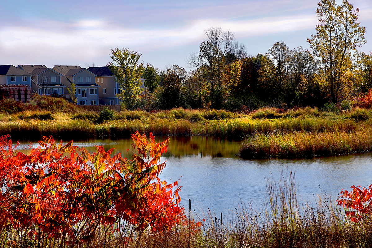 Woodhaven_West_Pond_Small.png