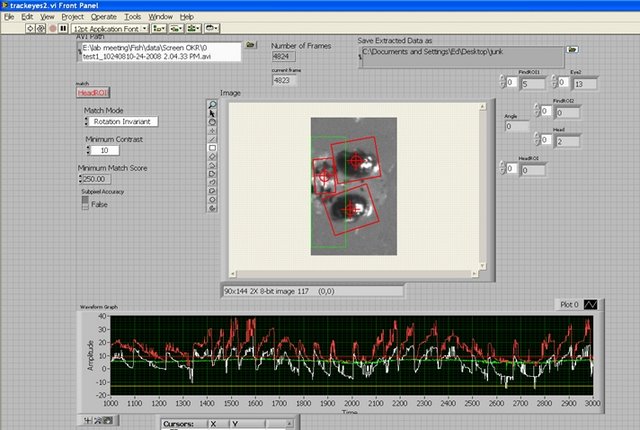  Dowling Lab: Software running off-line provides an automatic and precise measurement of eye position, temporal registered to the visual stimulus. 