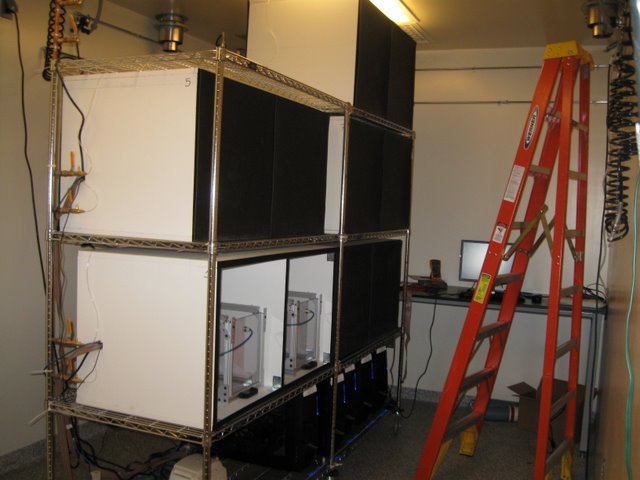Olveczky Lab: Working with Olveczky lab members, custom isolation chambers were designed and constructed to segregate conditioning cages. Water ports can be seen along the back of the chrome rack.