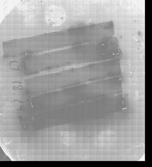 Lichtman Lab: The goals of the Connectome Project often demand features that were not implemented by microscope manufacturers. Shown here is an image of a four inch silicon wafer holding five strips of A.T.L.U.M. tape. In order to attain such a low power image, we created a custom microscope interface and image acquisition system.