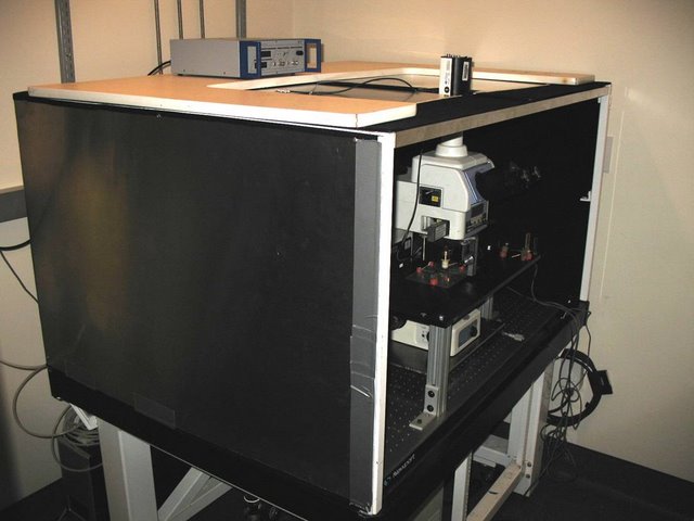  Lichtman Lab: Similar modifications were made to this Nikon microscope to allow for patch and extracellular recordings. Custom Faraday cage, fixed stage, and microscope translator are visible. 