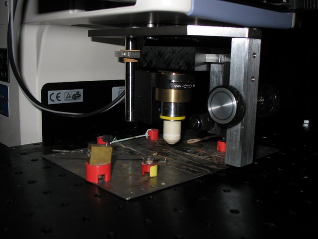 Lichtman Lab: Custom objective changing/focusing unit was added to account for the Nikon’s lack of a turret focus.