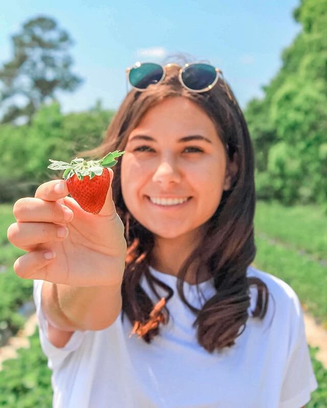 Strawberries are recognized as a symbol of Zeta Tau Alpha. In 1898 our nine founders hosted their first social gathering as a recognized campus organization called the &ldquo;Strawberry Feast.&rdquo; In order to commemorate this event, our founders d