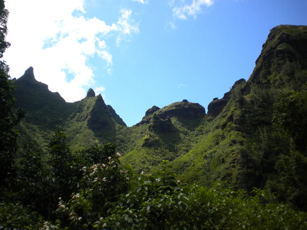 Napali Cliffs from Limahuli Gardens