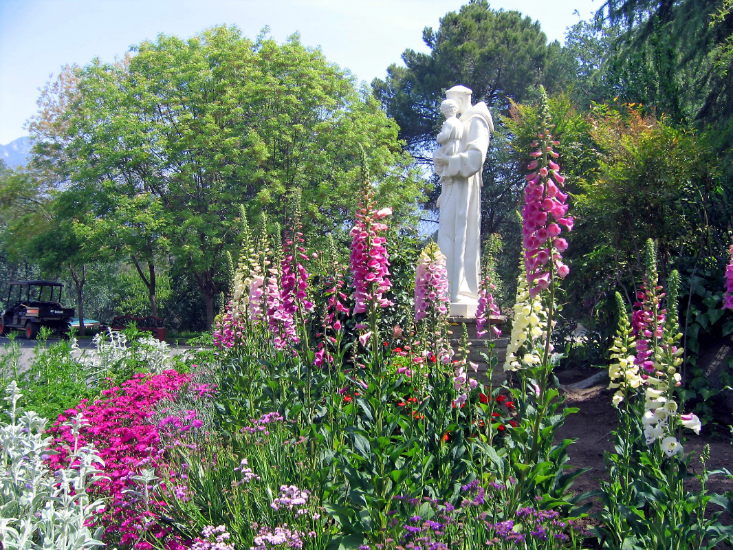  Garden of St. Francis of Assissi 