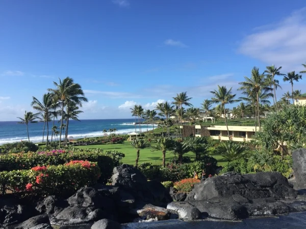 grant-hyatt-kauai.jpg