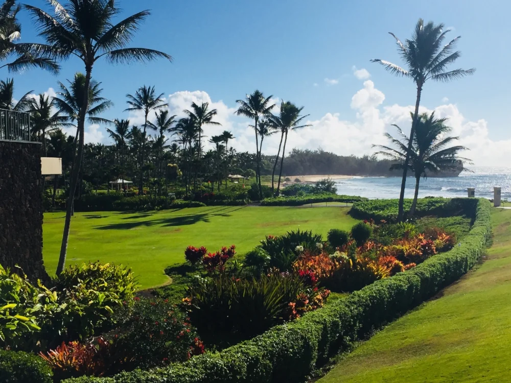 grand_hyatt_kauai_lawns_1748 (Edited).jpg