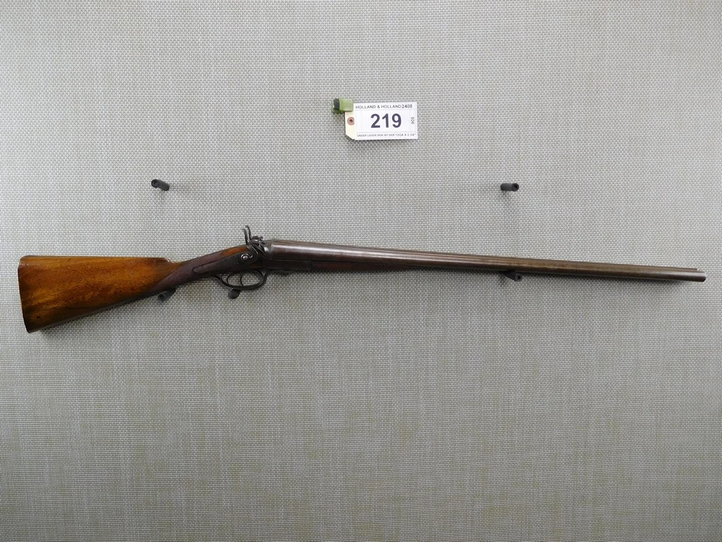 219.jpg