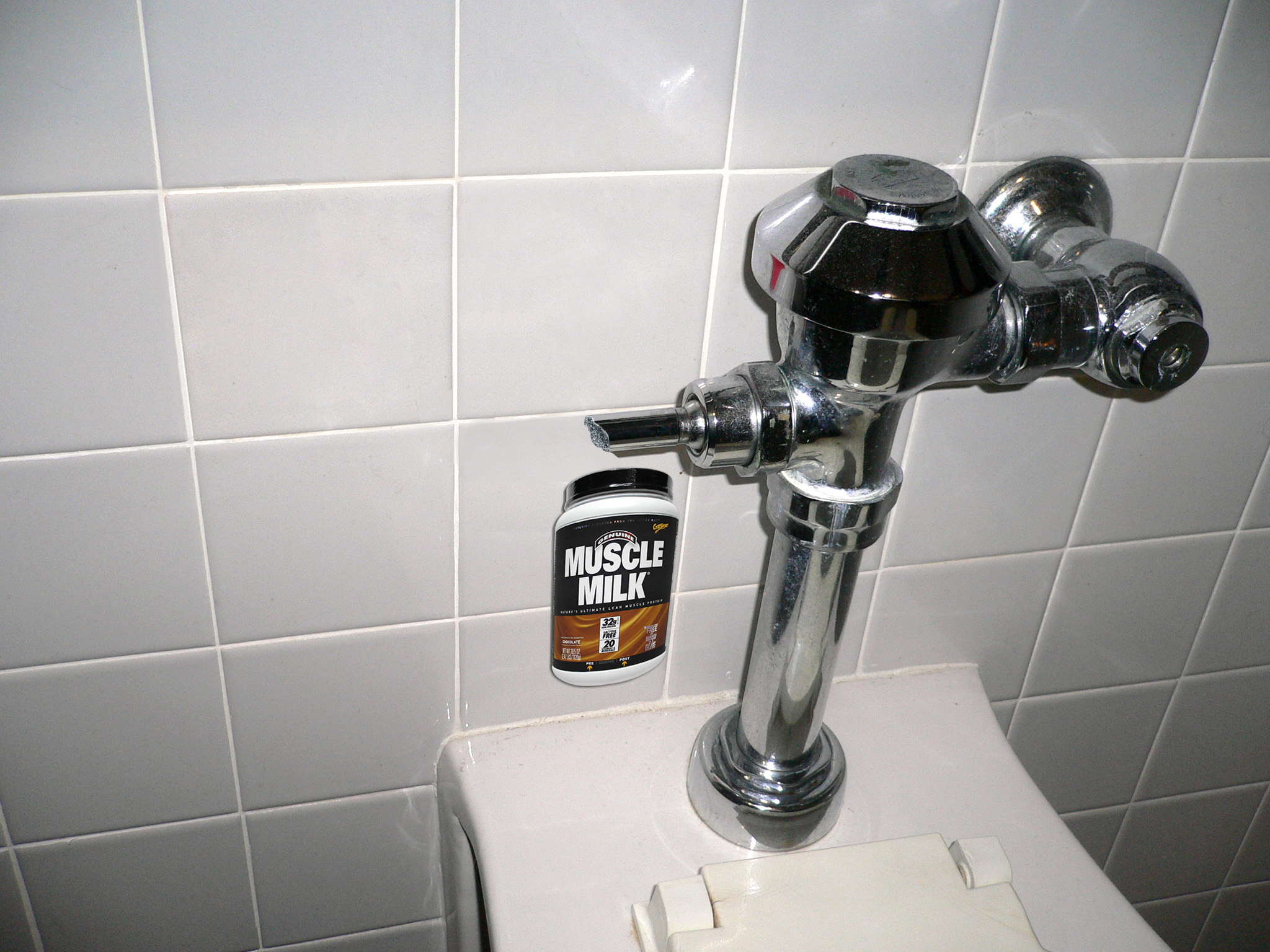 appr toilet.jpg