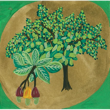 Cashew-Nut