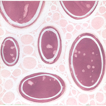 Mesodermal