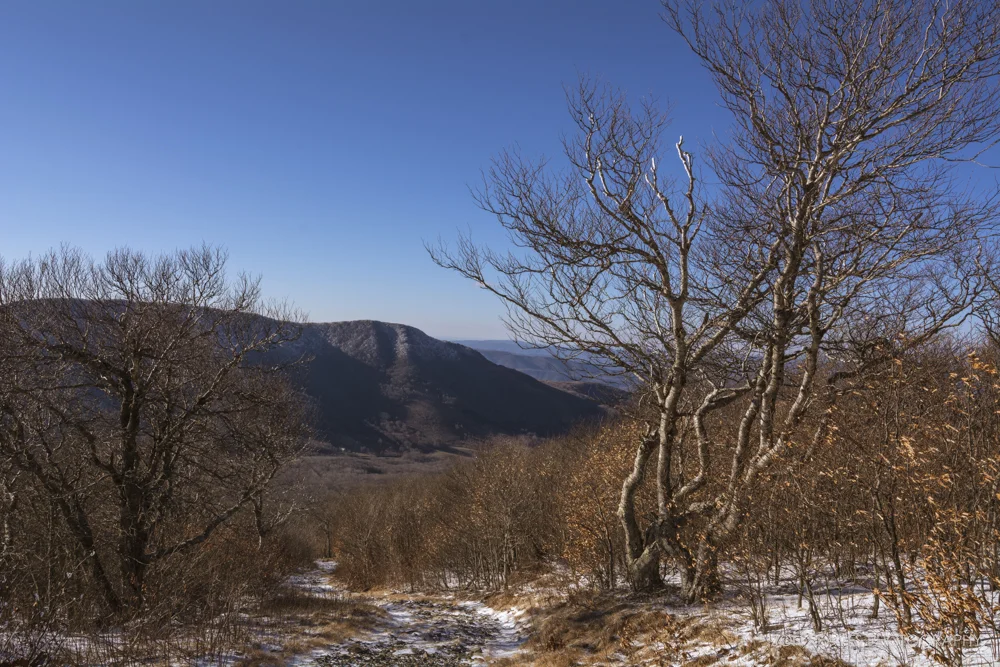 View near the summit of Elk Knob on a winter's day.