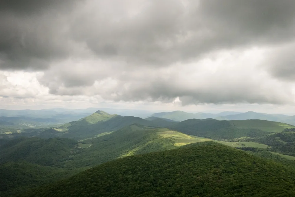 The north facing view from the Elk Knob summit trail. 