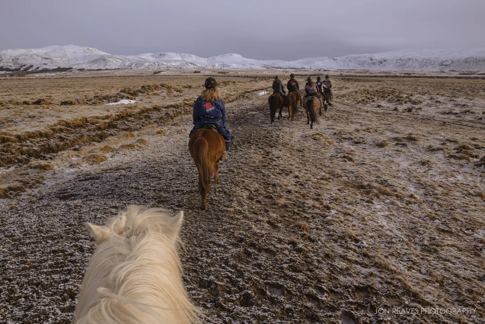 Riding Icelandic horses in Hveragerði