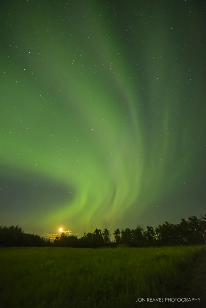 Northern Lights over Hayburger Trail, Elk Island National Park (18mm, f3.5, 8 sec, ISO 800)
