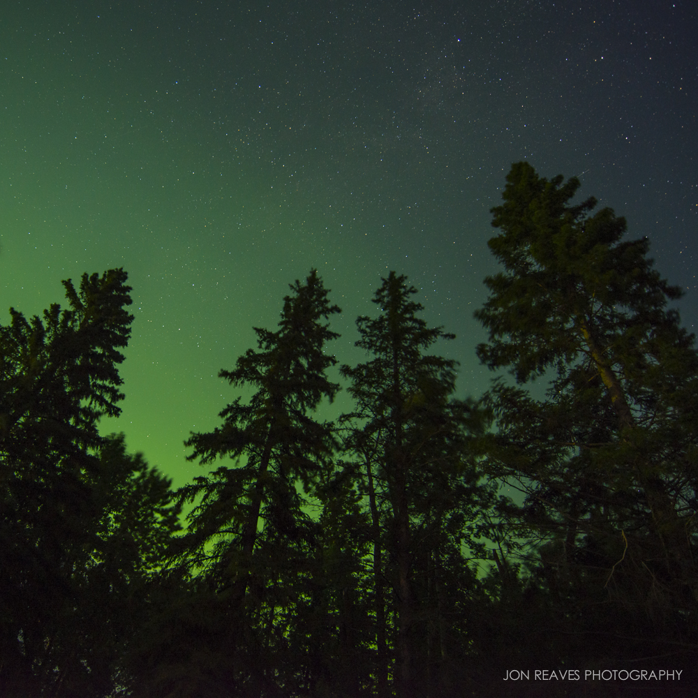 Northern Lights over Northwoods, Elk Island NP