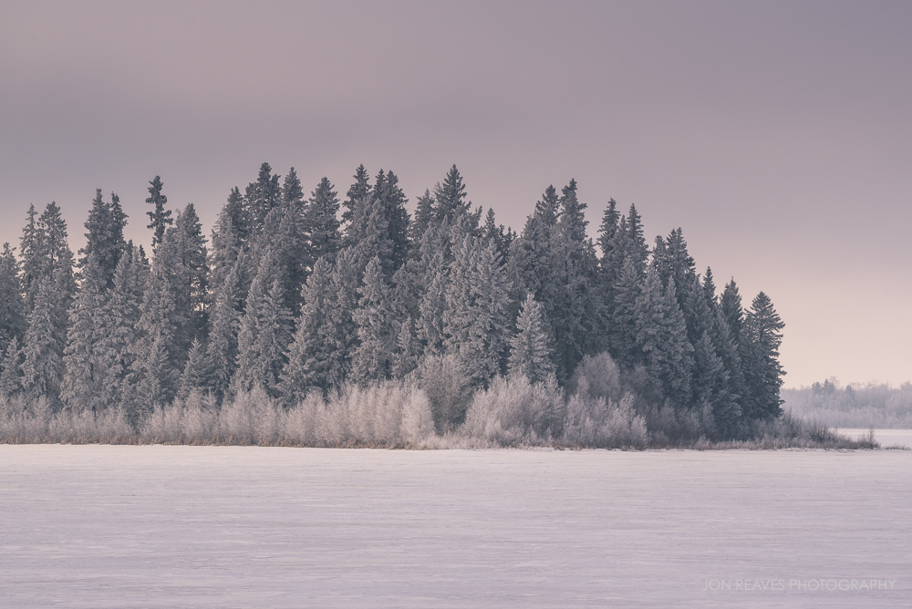 Frosty Morning, Astotin Lake, Elk Island National Park, Alberta, Winter 2018